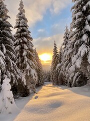 winter in the mountains