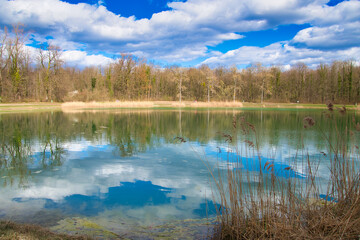 See in Sasbach im Kaiserstuhl