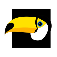 Head of an exotic toucan bird with a black background. Colorful vector isolated illustration about animals for emblem or logo.
