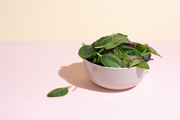 Bowl with leafy greens: spinach, beet, arugula on the yellow-pink background in sunlight.