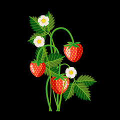 Strawberries with flowers and leaves pattern.