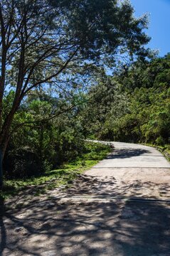 A left uphill curve near a tree shade on the hiking trail path that leads to the Pedra da Macela viewing spots.
