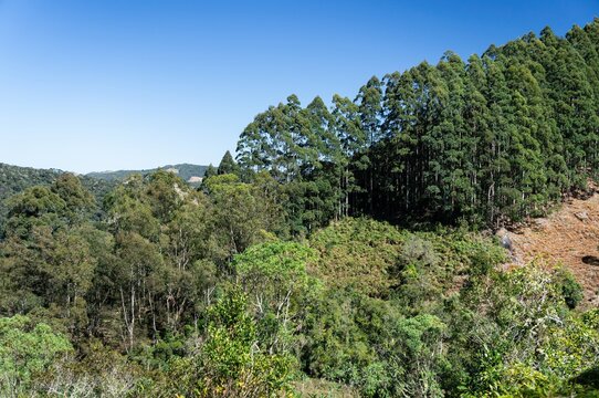 Green vegetation on the hilly surroundings as saw from the rough uphill path that leads to Pedra da Macela view spot