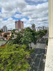 Paisagem de avenida com &aacute;rvores e pr&eacute;dios