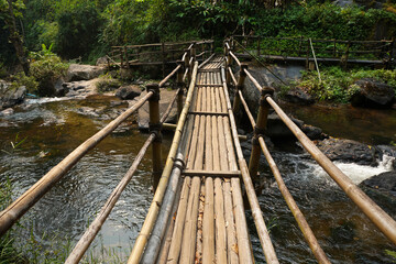 Bamboo bridge across a creek in a natural forest trail.