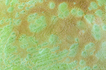 Green pancake close up. Pancake with spinach. Texture background.