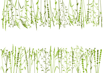 Grassy background with herbal borders - rows of natural wild herbs isolated on white - green grass silhouettes - elements for spring and summer design