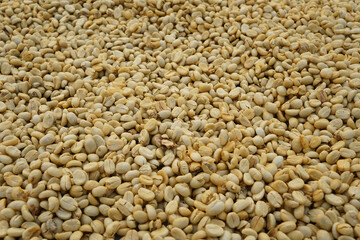 close up raw yellow coffee beans  