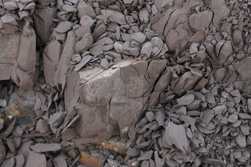 Shale is a laminated or fissile clastic sedimentary rock that composed of predominance of silt and clay other minerals , especially quartz and calcite.