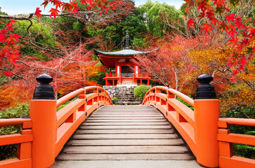Japanese autumn scene. Travel to Kyoto. - obrazy, fototapety, plakaty