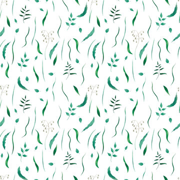 Watercolor hand-painted seamless pattern. Wild herbs