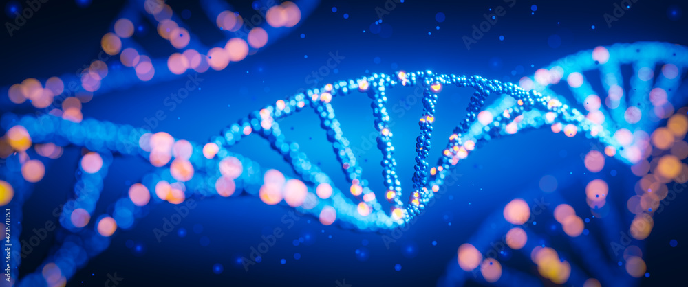 Wall mural dna digital. study of gene structure of cell. molecule structure. genetic engineering of the future.