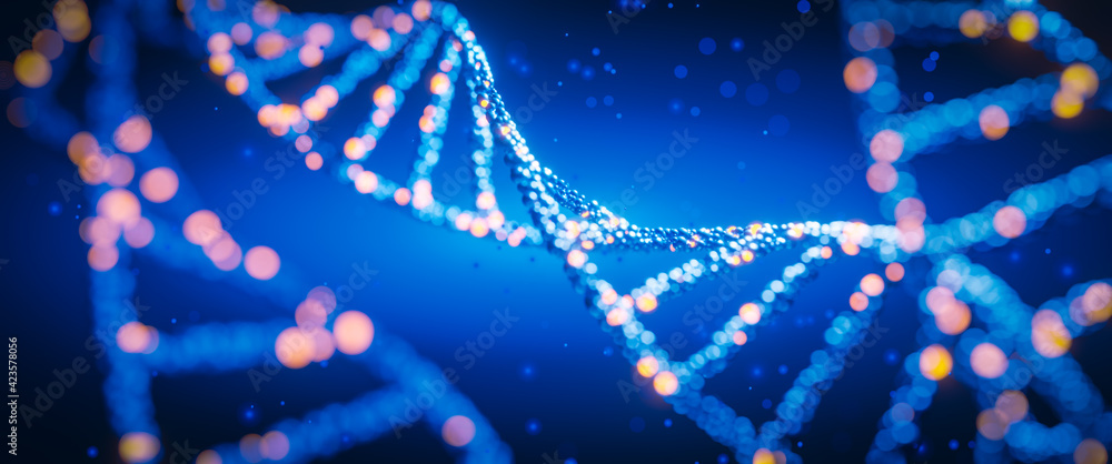 Wall mural dna digital. study of gene structure of cell. molecule structure. genetic engineering of the future.