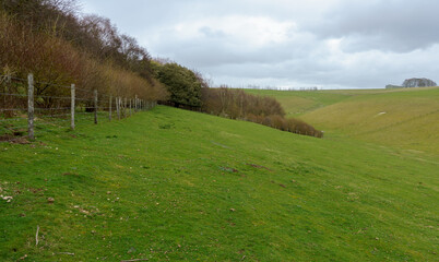 Obraz premium view up a rabbit warren strewn valley on the up-faulted Southern edge of Pewsey Vale, Wiltshire, North Wessex Downs AONB