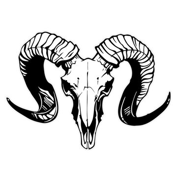 recommend clip art: mountain goat skull with black horns