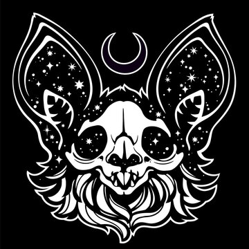 Witch Skull Of A Dead Bat Decorated With Stars