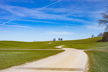 country road in meadows 
