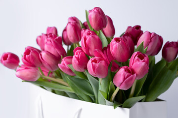 closeup pink tulip flowers in a cardboard bag on white background