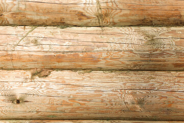 background of light logs with a close-up texture