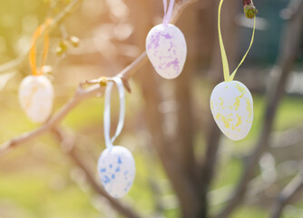 Easter colorful eggs hang from the branches of a tree in the rays of sunlight. Easter composition