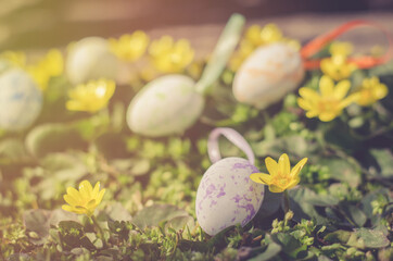 Easter colorful eggs among yellow flowers in green grass in the rays of the sun. Easter composition
