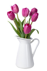 isolated pink tulips in a jug on white background