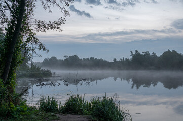 morning fog above the creek
