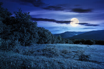 green grass on the meadow in mountains at night. summer carpathian countryside in full moon light....