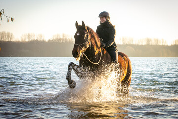 Fototapeta na wymiar Reiterin mit Pferd im See