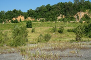 Fototapeta na wymiar Overgrown old quarry. Czechia. Europe.