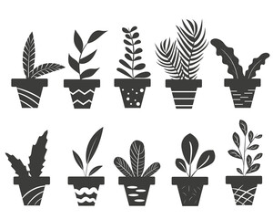 Set of potted houseplants silhouettes isolated on a white background