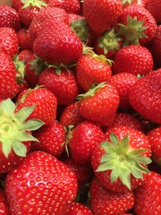 Fresh picked strawberries