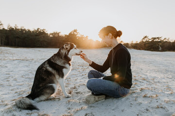 Young person feeds their dog on the beach at sunset. It's very confidential. Woman and husky are good friends have have fun at sunset..