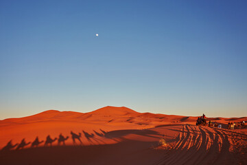 Fototapeta na wymiar Shadows of camels in Sahara desert Merzouga