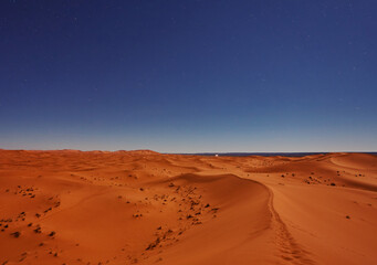 Fototapeta na wymiar Stars at night over the dunes, Sahara Desert, Morocco
