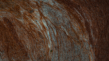 Dirty foam on the river water surface