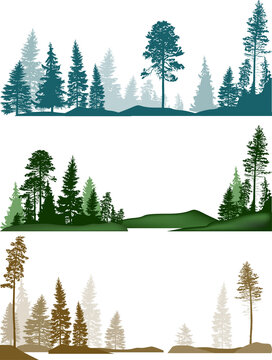 three forest landscapes set isolated on white