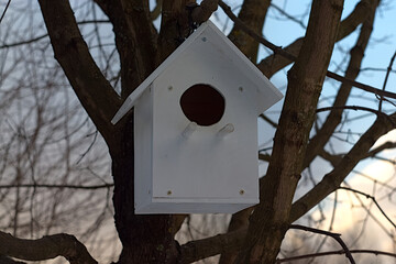 white wooden birdhouse on a tree
