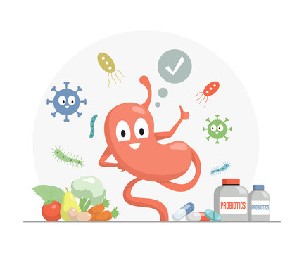Happy stomach showing thumbs up vector flat cartoon illustration. Vitamins, supplements, and minerals for health and good digestion concept. Fruits and bottles with probiotics pills.