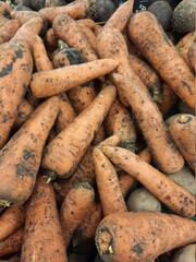 organic carrots