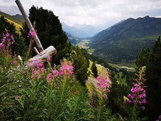 Beautiful landscape in Dolomite National Park, Unesco world Heritage, Trentino alto Adige, italy