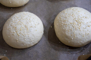 Fototapeta na wymiar Round yeast dough buns on parchment are ready to be baked. Raw Burger Dough. Raw burger dough on protvin