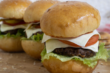 Homemade grilled hamburger on plate with white background. Homemade Beef Burger. Homemade Beef Burgers. Homemade beef burgers with cheese