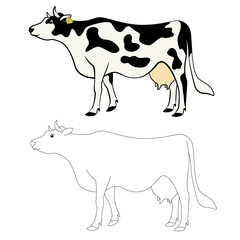 Color and outline illustration of a cow. Livestock smart farm. Suitable for use in infographics, article design, promotional materials, presentations. Suitable for children's books and coloring books
