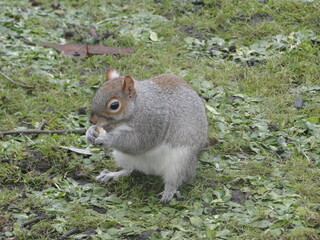 lugares incríveis e maravilhosos londres