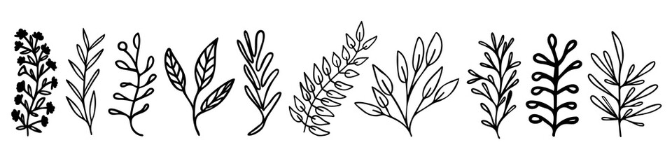 Collection of outline vector plants like leaves and branches. Bundle of botanical line graphic elements for invitations, cards, stationary and more.