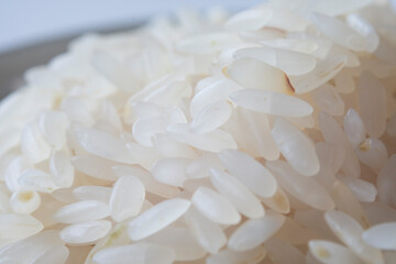 macro shot of baldo rice grains. Selective Focus.