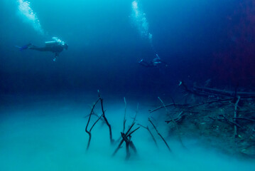 Diving in Cenote Angelita, Mexico