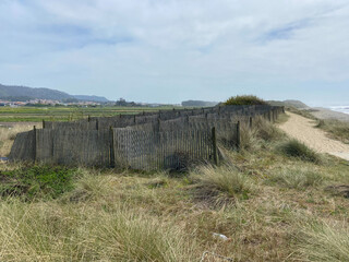 View of dune fencing to control wind erosion and encourage dune stability at the North Coast Natural Park. The Protected Landscape of Esposende Coast, Portugal.
