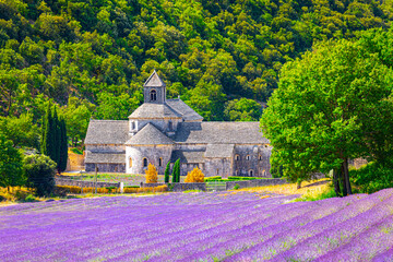 Senanque Abbey Gordes Provence Lavender fields Notre-Dame de Senanque, Luberon, France. Europe